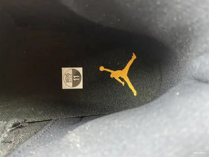Reps TBK Black CT8013-071 Taxi Jordan 12 Air 0613